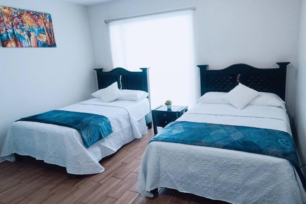Secure, Central And Quiet Apartment Work Or Travel مدينة مكسيكو المظهر الخارجي الصورة